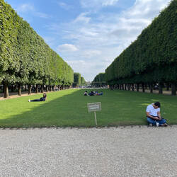 "Keep off the grass" - the French hate being told what to do