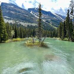 View from footbridge on North shore of lake