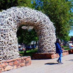 There is one of these arches on each corner of the park in Jackson, WY