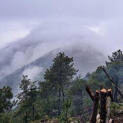 Die beste Sicht auf den Fuego...