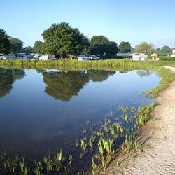 Schwimmteich