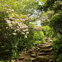 Der Weg ist aber schön