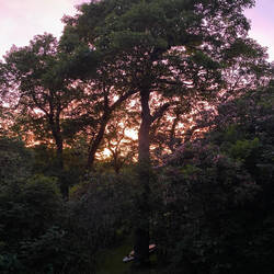 Schöner Sonnenuntergang zum Abend