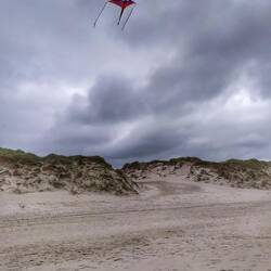 Die Drachen sind wieder da