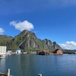 Svolær