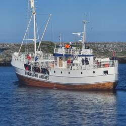 Leider fahren sie morgen nicht raus wegen Sturm🥺