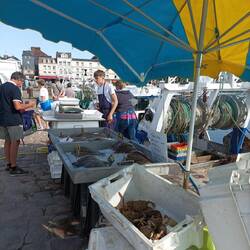 Hier wird Seezunge hauptsächlich gefischt