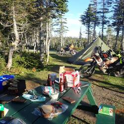 Bikerherz was willst Du mehr!