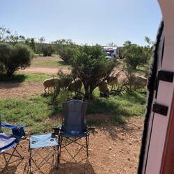 Daily visitors