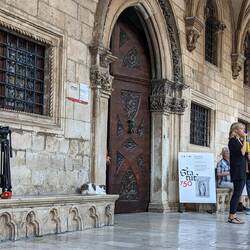 Apparently this cat guarding the Rector's Palace went viral a few weeks ago