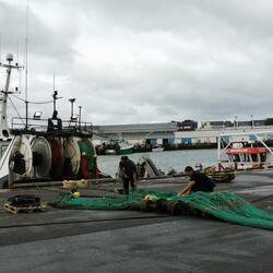 Und endlich war mal war los im Hafen