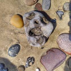 Wilson, da bist du ja 😅