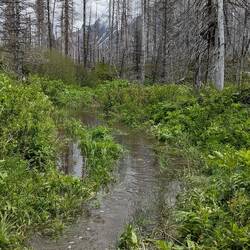 Le sentier de randonnée