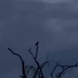 Die Vögel singen es von den Dächern , die Tour startet jetzt