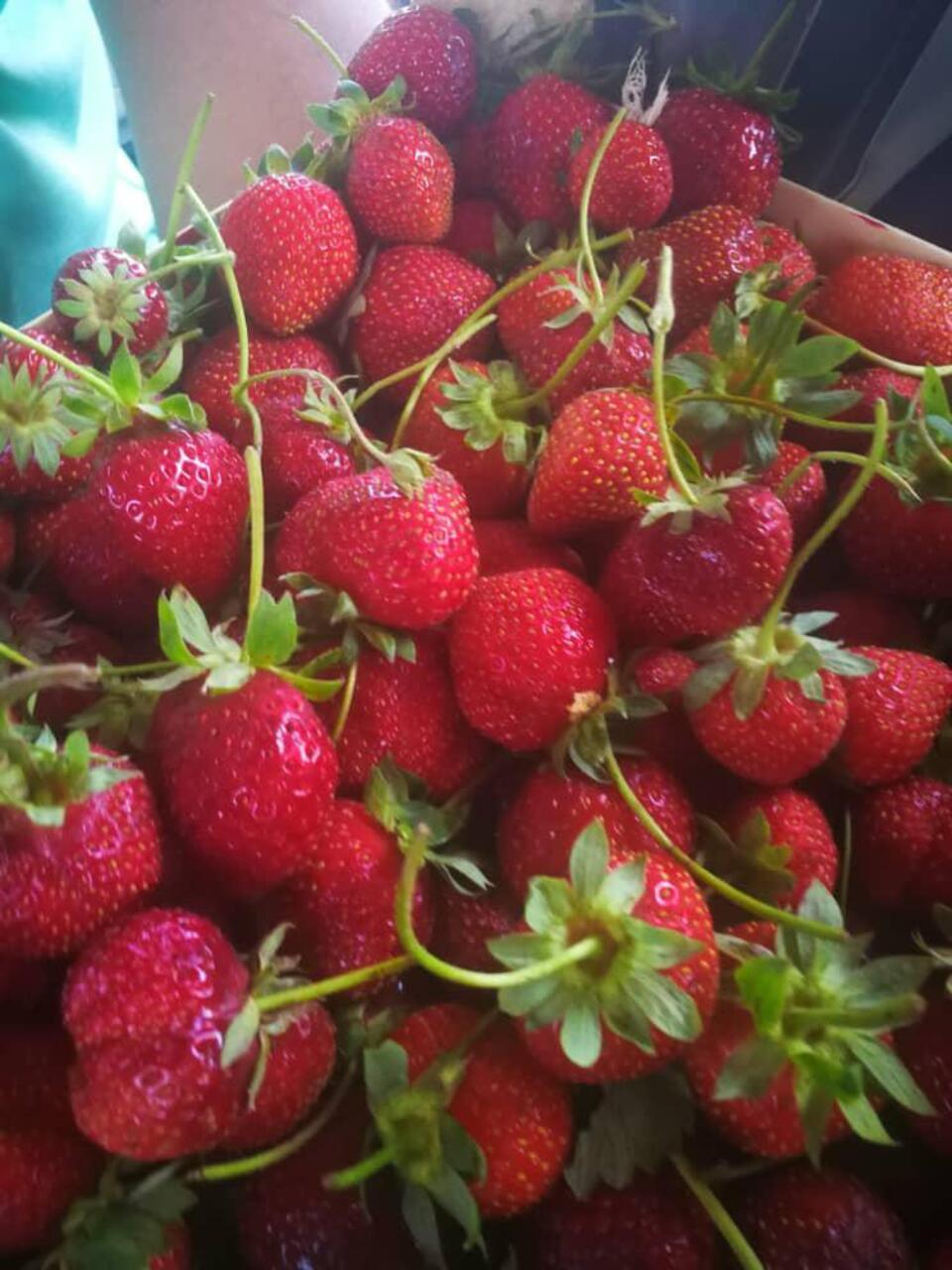 Really sweet local strawberries!