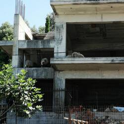 Unsere Nachbarn 😄