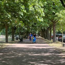 The Perfect Sunday Afternoon