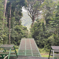 Longest jungle zipline (1540 meters)