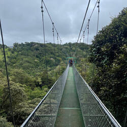 Shaky bridge to the drop
