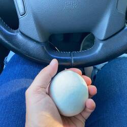 Antistress-Schneeball