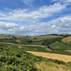 Zur Abwechslung mal das Landesinnere