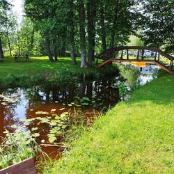Das Torfwasser, leicht rotbraun