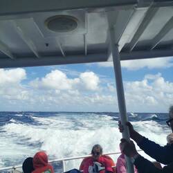 Windstärke 5, das Haar sitzt, ich habe keine Tüte genommen!