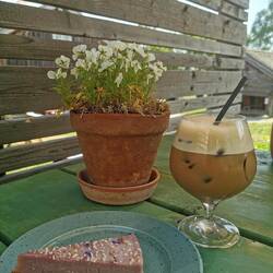 Eiskaffee und veganer Blaubeerkuchen