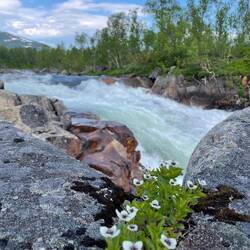 Storforsen-Wasserfall