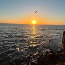 Sunset cliffs