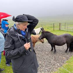 Frame a Shot and the Wind Blows