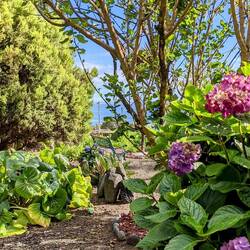 Unser Garten