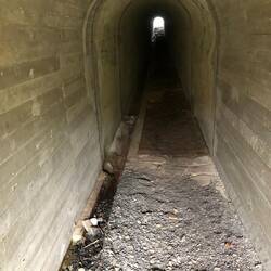 Tunnelpause