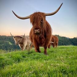 Warum schaut er mich so an?