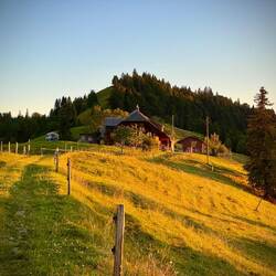 Der Standplatz im Sonnenuntergang, links unser Schlafplatz