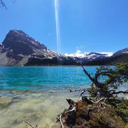 Bow Lake