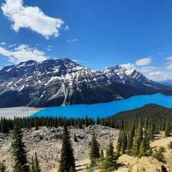 Peyto Lake