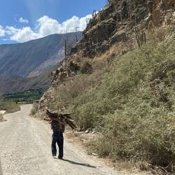Wer brucht scho es Fahrzüg, wenn mer sich alles ufe Rugge chan binde.😅