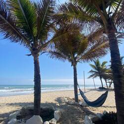 Chamer mol mache ☺️