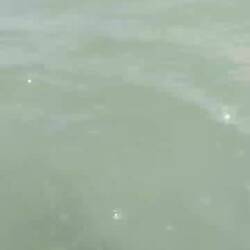 Baden im Meer war herrlich