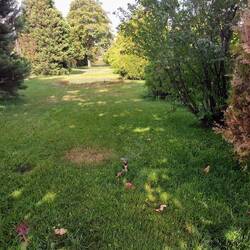 De sproeiertjes waren soms redder in nood in deze hitte