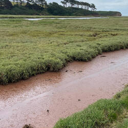 Otter Estuary
