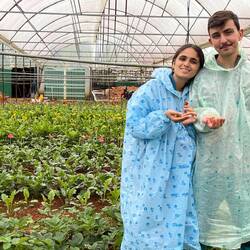 אוכלים עוד תותים במבוכה מהכמות המוגזמת