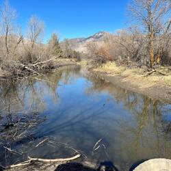 Blackbird Pond