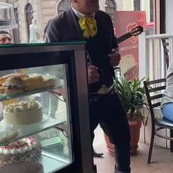 Band im Cafe: Monte Alto