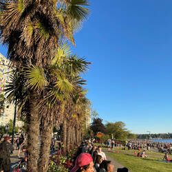 Palmen am English Bay Beach