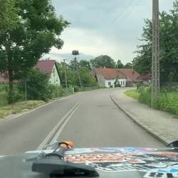 Das Storchendorf