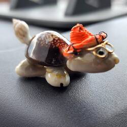 Dexter the Shell Turtle