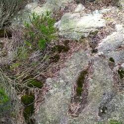 Kurzer rundumblick auf dem Wanderweg