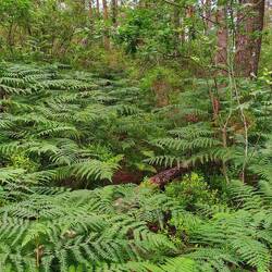 Da ist doch der Weg, man sieht ihn doch 😅